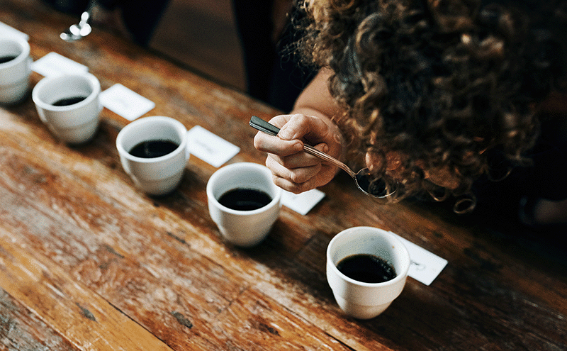 Twój domowy cupping: Jak profesjonalnie degustować kawę specialty? [Krok po kroku]