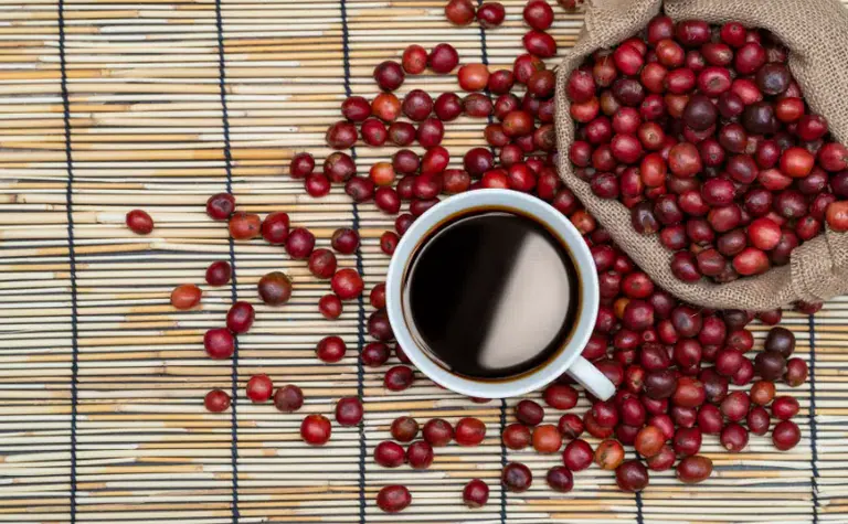Kawa z jednego miejsca, wiele smaków - jak wybrać single origin do espresso i przelewu?